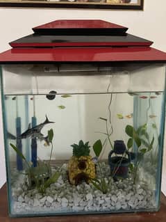 Aquarium