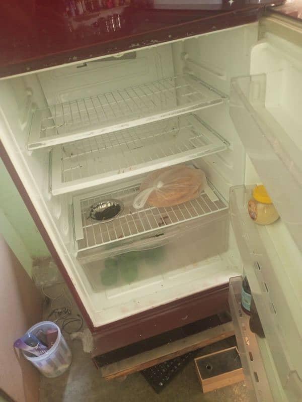 jumboo size pel fridge 2