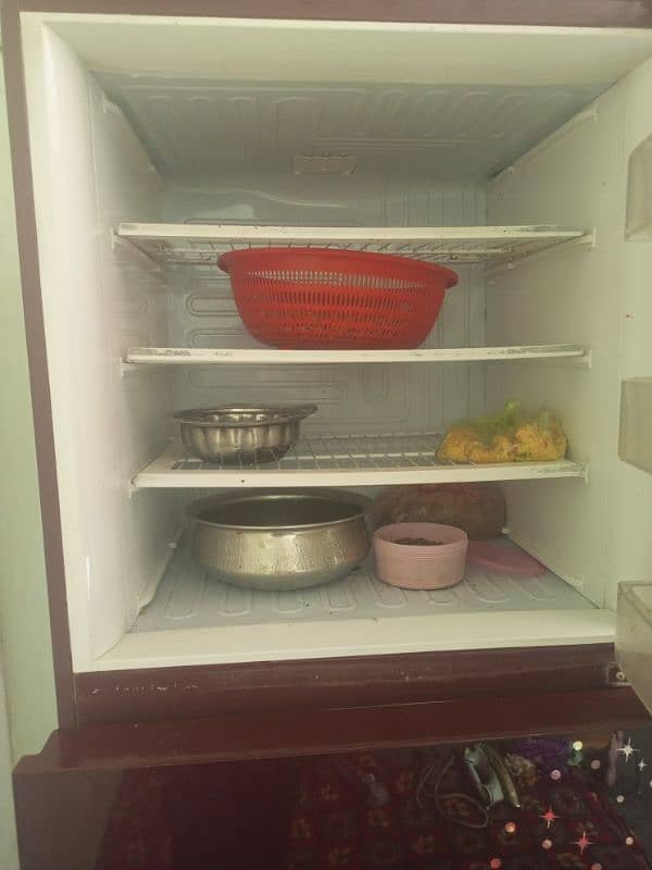 jumboo size pel fridge 3