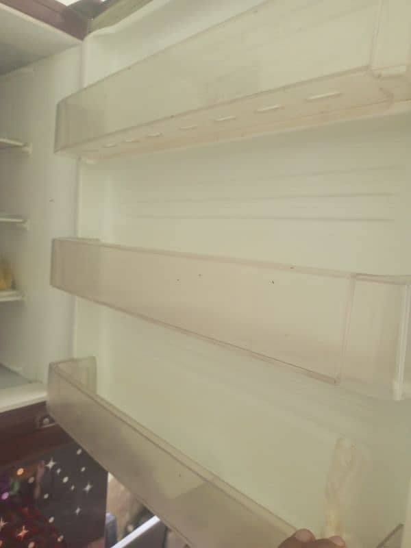 jumboo size pel fridge 4