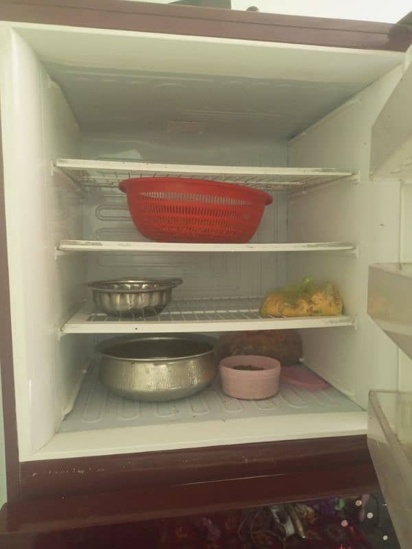 jumboo size pel fridge 5