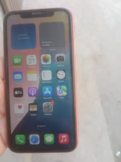 iphone XR 128 gb