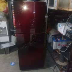 pel glass door fridge