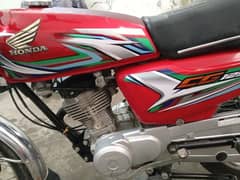 23 mdl punjab nmbr cg125