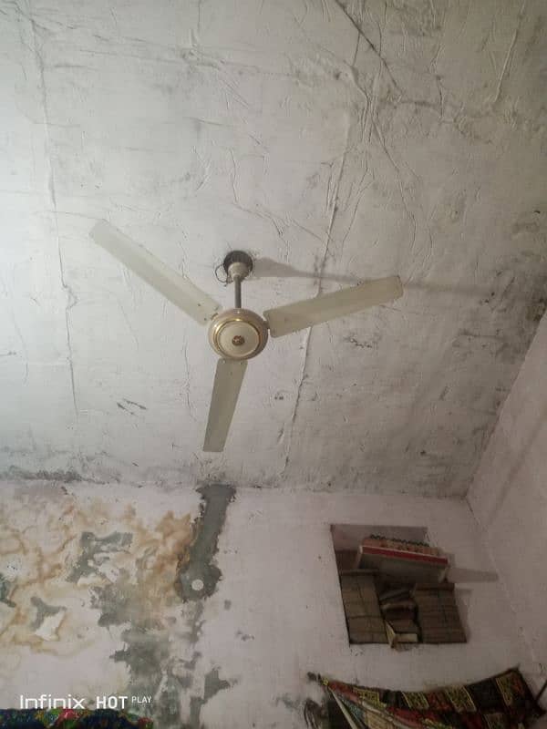 کاپر ویڈنگ ہے یے پنکھا بہت اچھی ہوا دیتا ہے گرمیوں کا توفا ہے 3