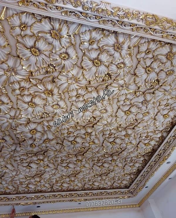 antique cielling 2