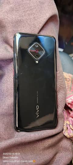 Vivo