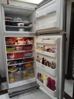 full size refrigerator available