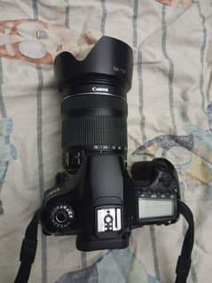 Canon 60D with Battery Grip and Canon 18-135mm STM Lens