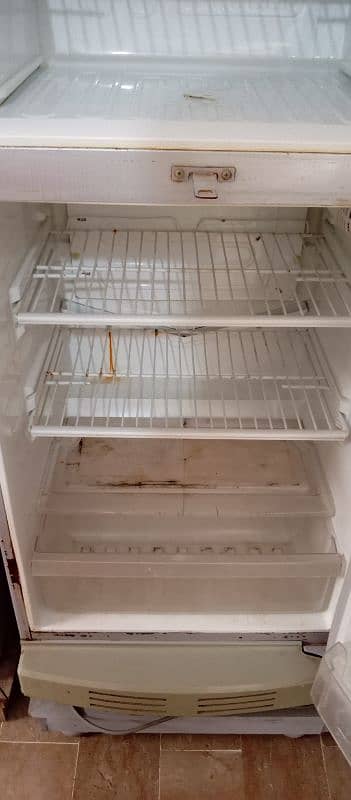 Used Pel Refrigerator for Sale – Good Condition 6