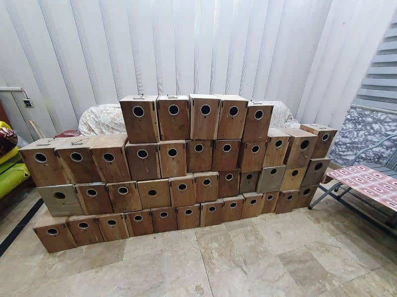 Love birds breeding Boxes (40 PCs)available 0