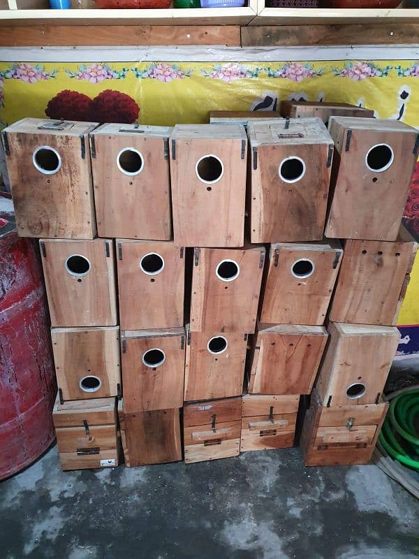 Love birds breeding Boxes (40 PCs)available 2