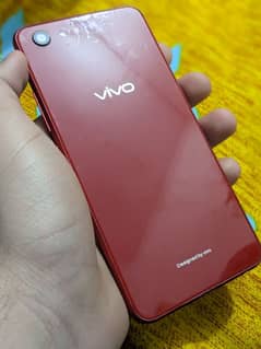 vivo