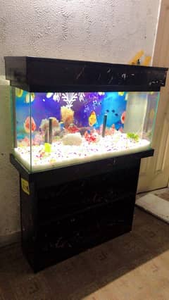 3 fit brand new fish aquarium