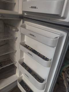 Downlace fridge for sale