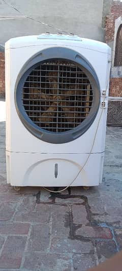 Air cooler