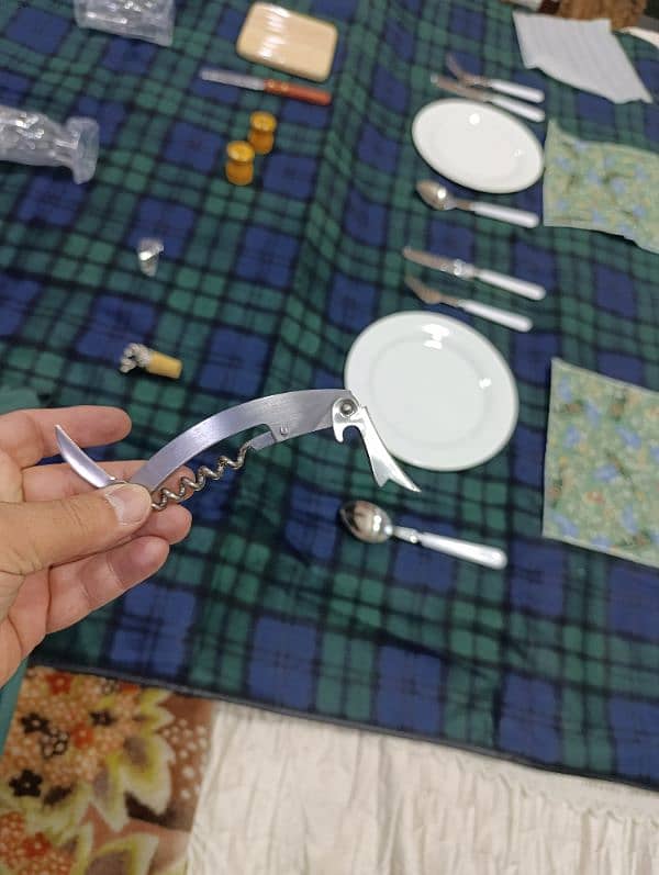 Amazing Picnic black pack with insulation and dinning utensils 20000 16