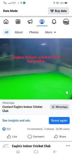 cricket