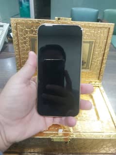 Luxury Mobile 24k Gold Plated limited edition 12 pro max