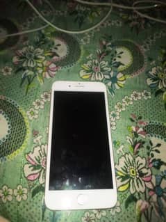 I phone 7 plus