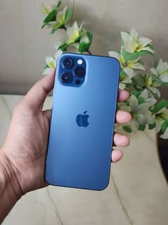 iphone 12 pro max official pta approved