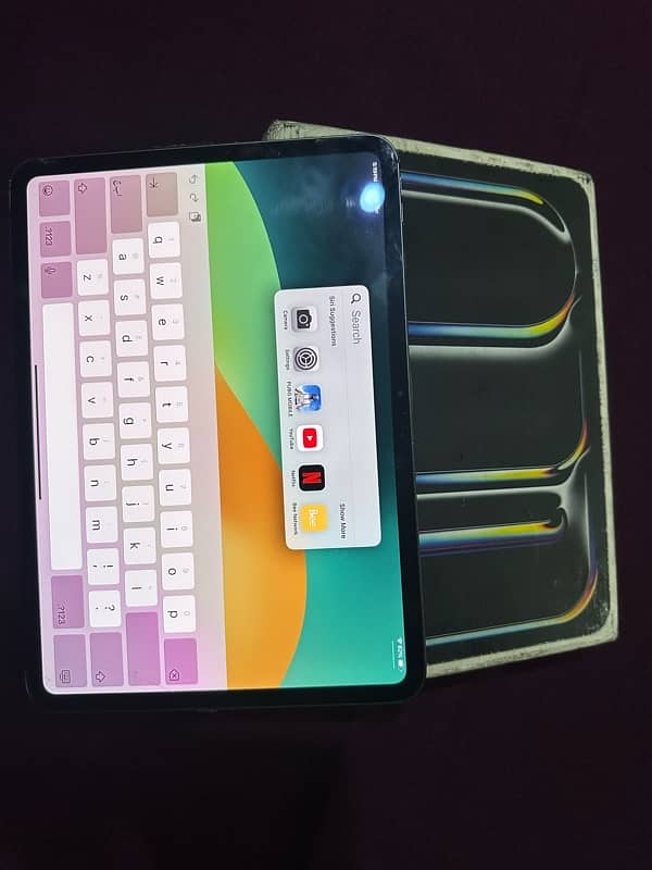 ipad pro M4 256gb 2
