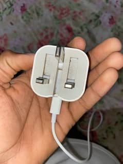 iPhone original charger