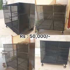 Grey parrot ka ka 2 n cage for big size parrots CAGE