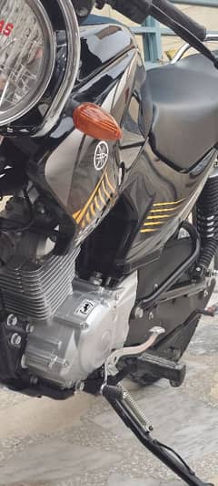 YBR125G 2024