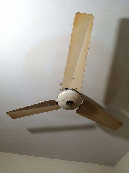 Pak Fan 0