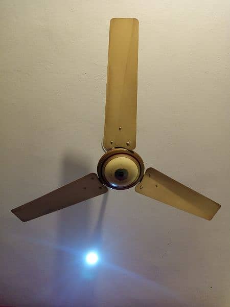 Pak Fan 1