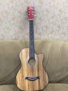 Acoustic Guitar