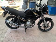 Yamaha YBR 125 | Brand New Condition| ALL GENIUINE AND CLEAR |