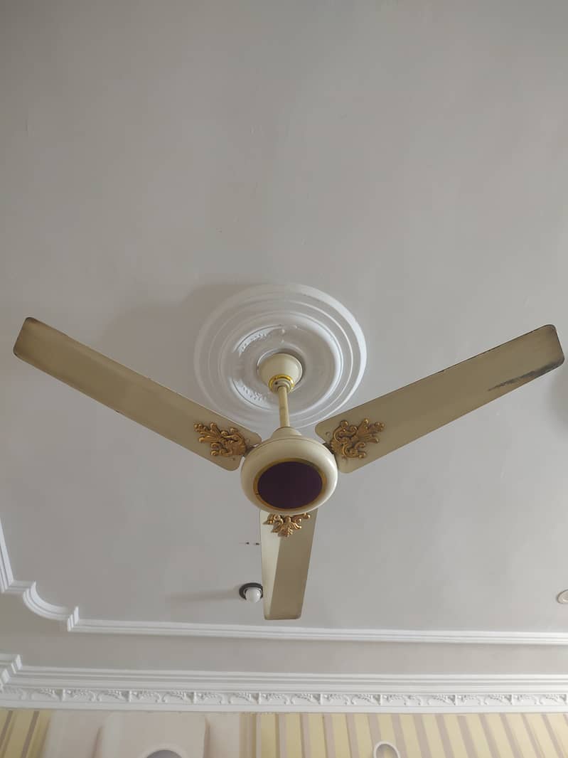 Ceiling Fans 1