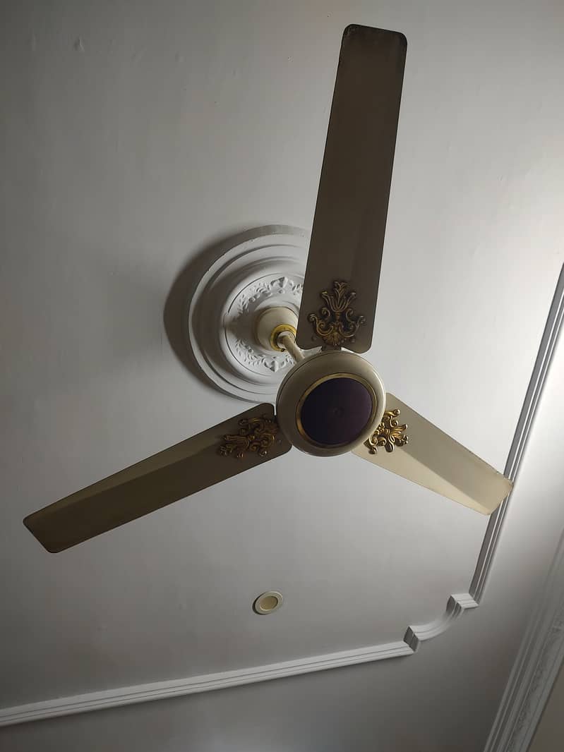 Ceiling Fans 2