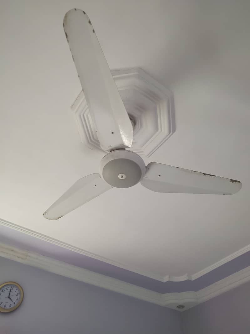 Ceiling Fans 3