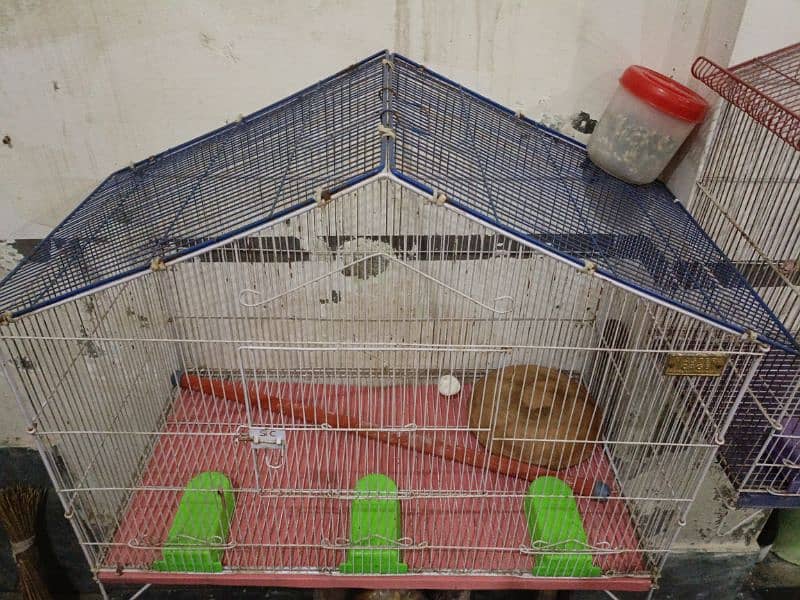 Parrot Cage 1