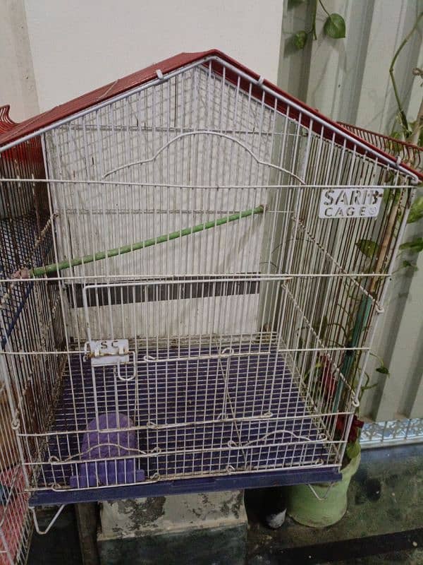 Parrot Cage 2