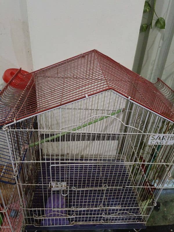 Parrot Cage 3