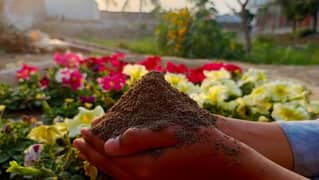 Organic fertilizer for plants 100℅ organic 200 per kg