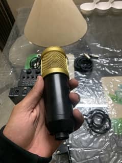 bm 800 professional mic