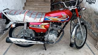 honda CG 125 larkana number