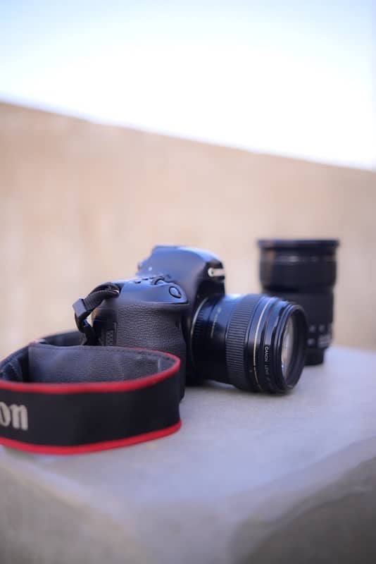 canon 6D mark ii with 85 mm lense 2