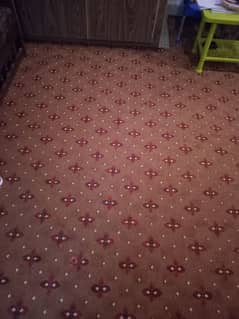 wall to wall carpet