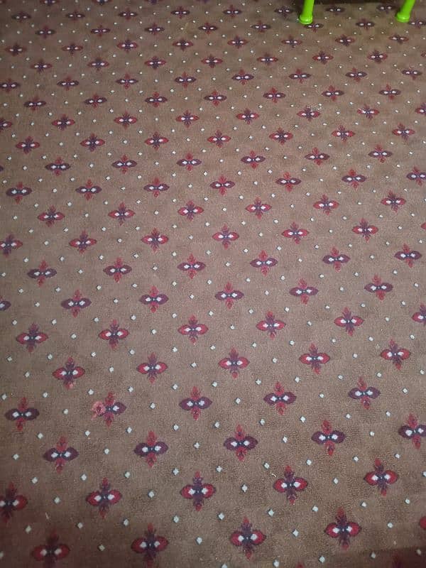 wall to wall carpet 1