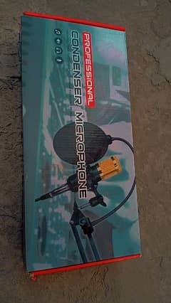 BM_800 BUDGET FRIENDLY MIC