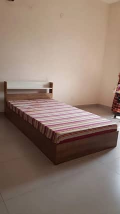 Single Bed (Habbit Furniture) 1 month used