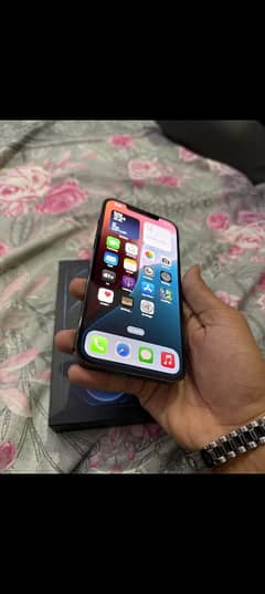 Iphone 12 Pro Max 256GB