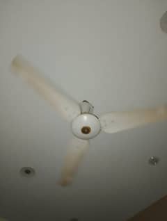 ceiling fan