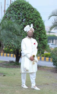 Off White Sherwani